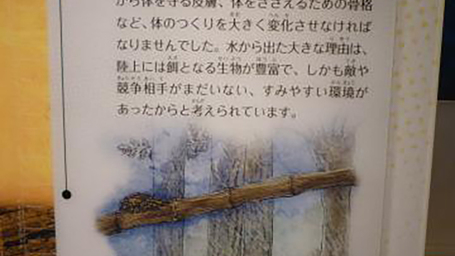 「おなかがすいたなぁ」「わーい、ここにはいっぱい食べモノがあるぞ」